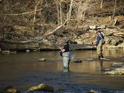 Wade fishing in a side channel of the Missouri