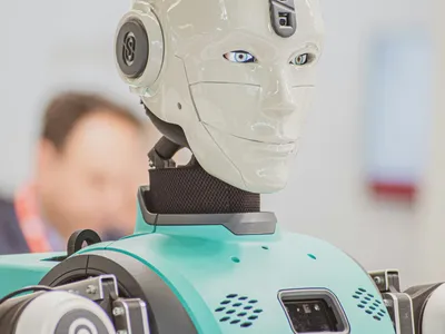 Elkhorn Mountains with wildflower meadow in foreground