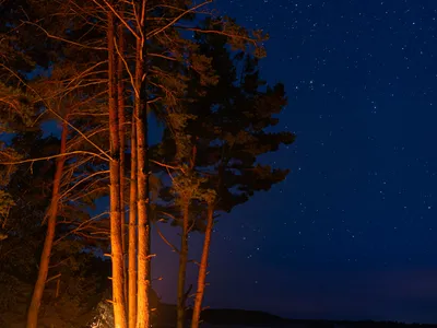 Campfire on the riverbank after a full day on the water