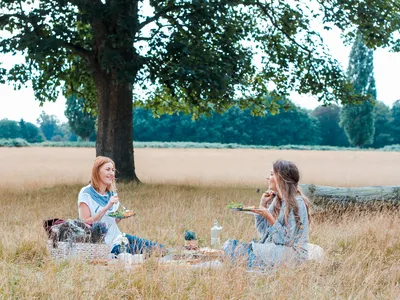 Tailgate lunch with a view of the valley